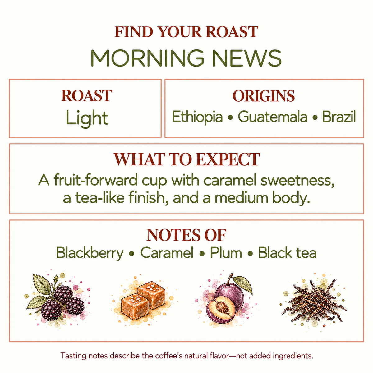 Morning News Light Roast Coffee | Ethiopia, Guatemala, Brazil