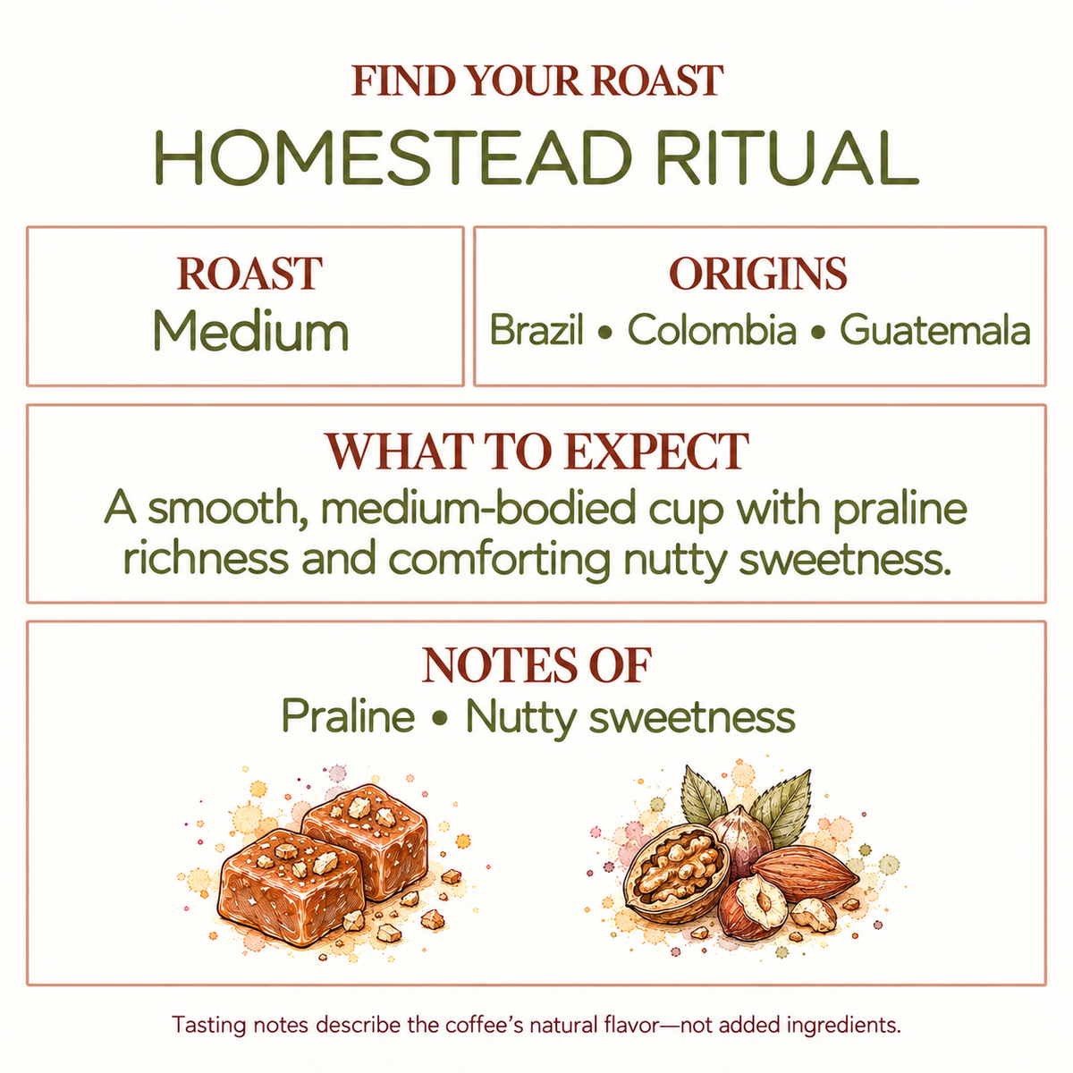 Homestead Ritual Medium Roast Coffee | Brazil, Colombia, Guatemala