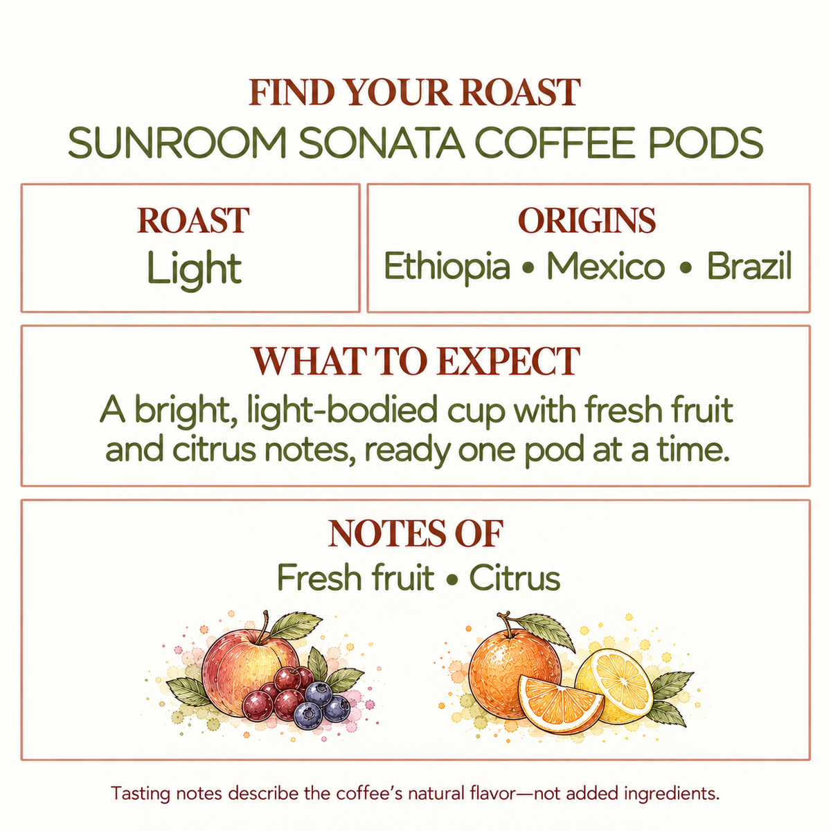 Sunroom Sonata Light Roast Coffee Pods | Ethiopia, Mexico, Brazil
