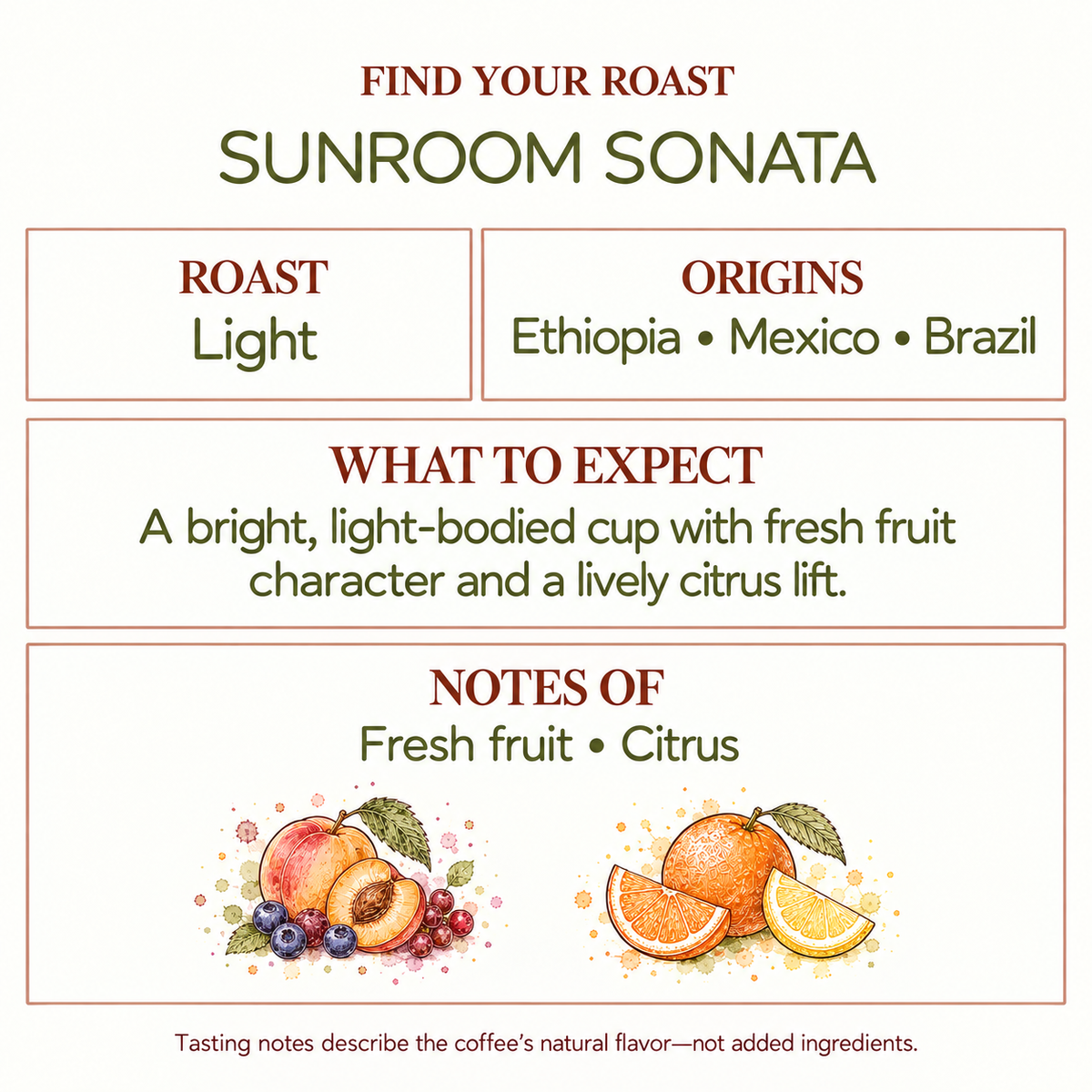 Sunroom Sonata Light Roast Coffee | Ethiopia, Mexico, Brazil